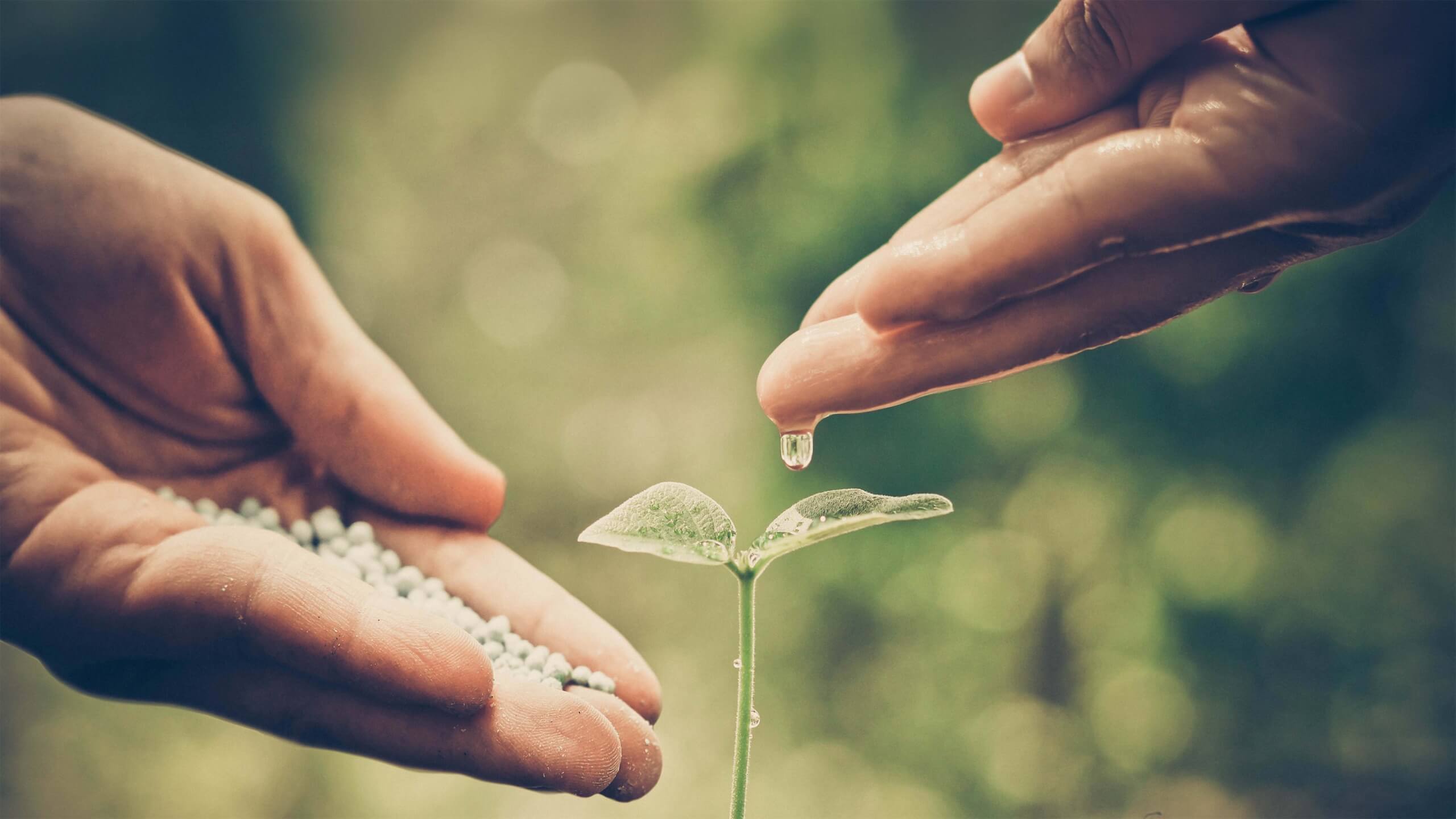 Sustainability Review