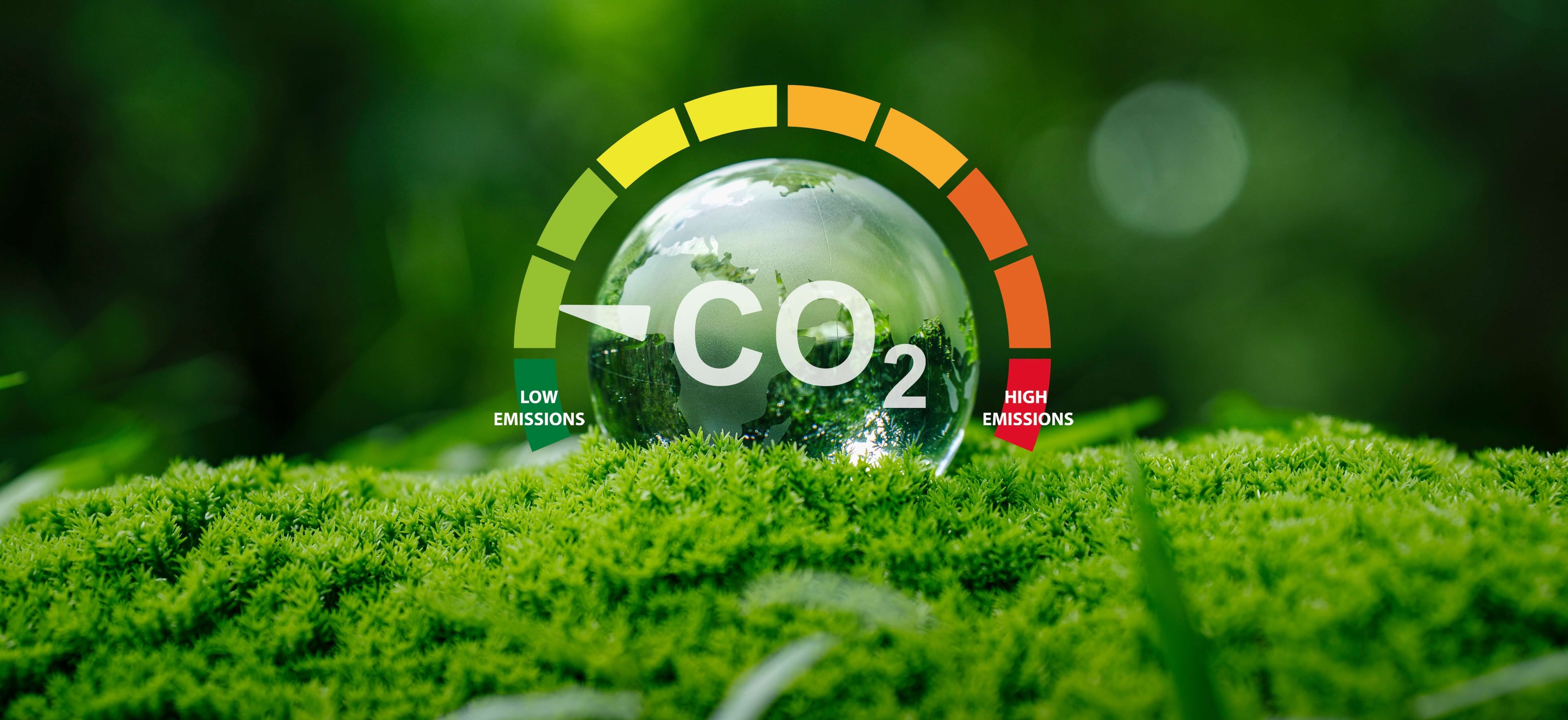 Company’s Cash and/or In-Kind Contribution to the Local Community Development and Environmental Conservation during the Year 2025